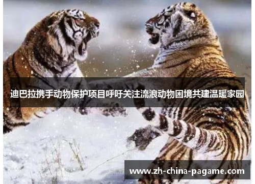 迪巴拉携手动物保护项目呼吁关注流浪动物困境共建温暖家园 迪巴拉携手动物保护项目呼吁关注流浪动物困境共建温暖家园